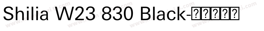 Shilia W23 830 Black字体转换
